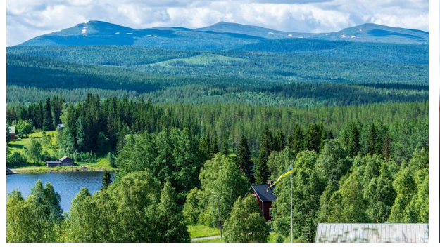 Cover image for job ad