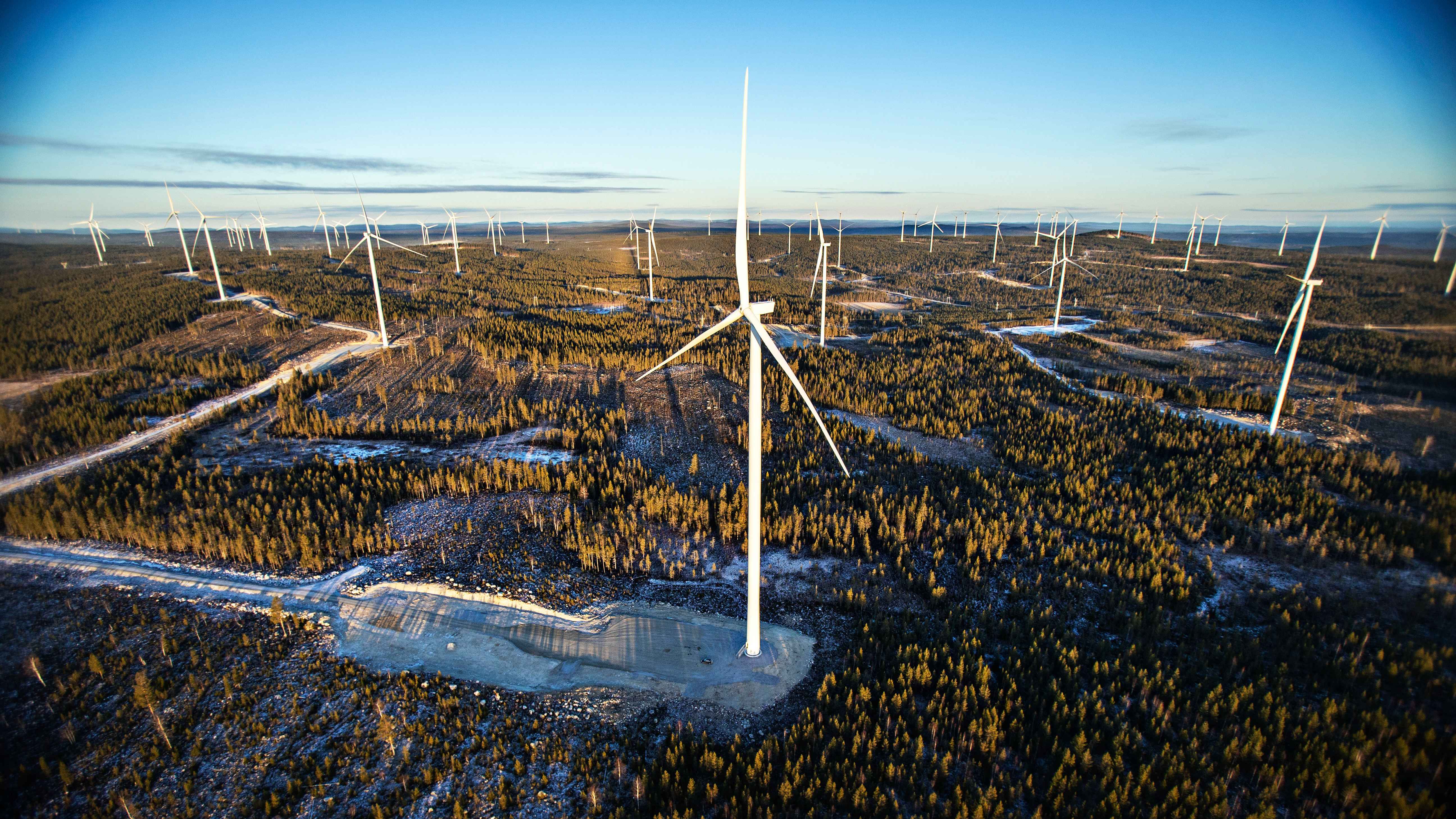 Cover image for job ad