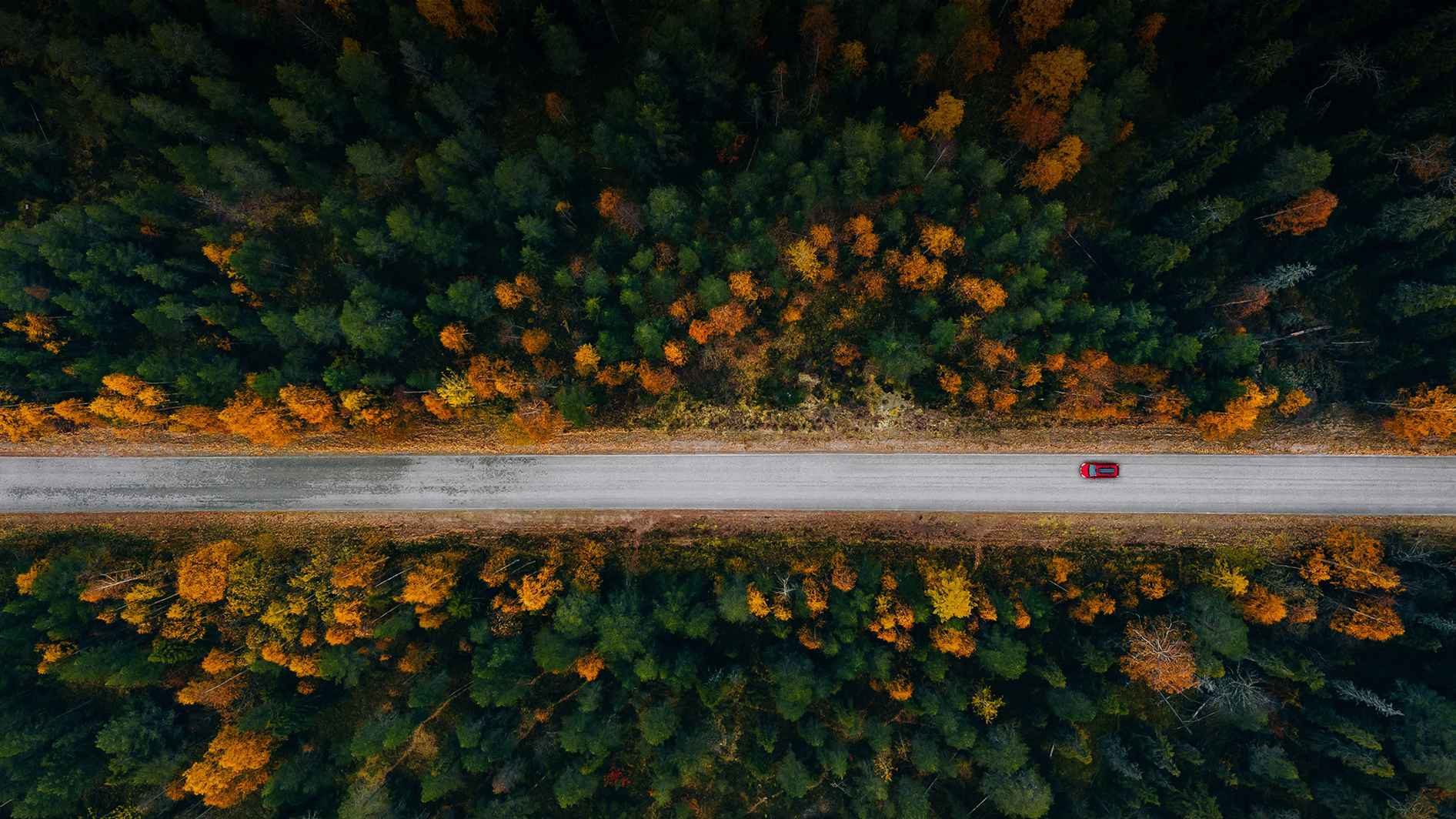 Cover image for job ad