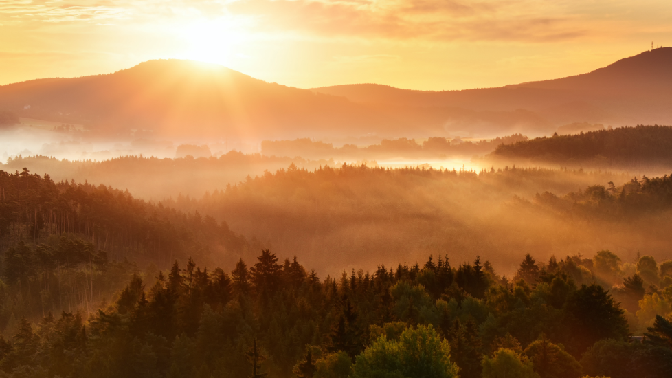 Cover image for job ad