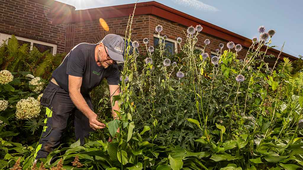 Cover image for job ad