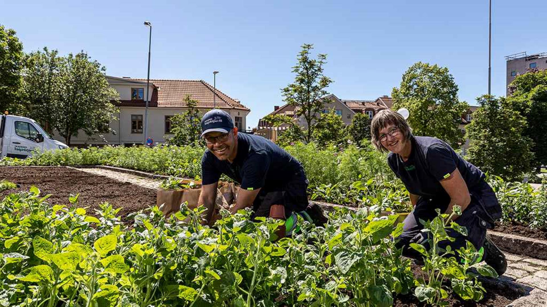 Cover image for job ad