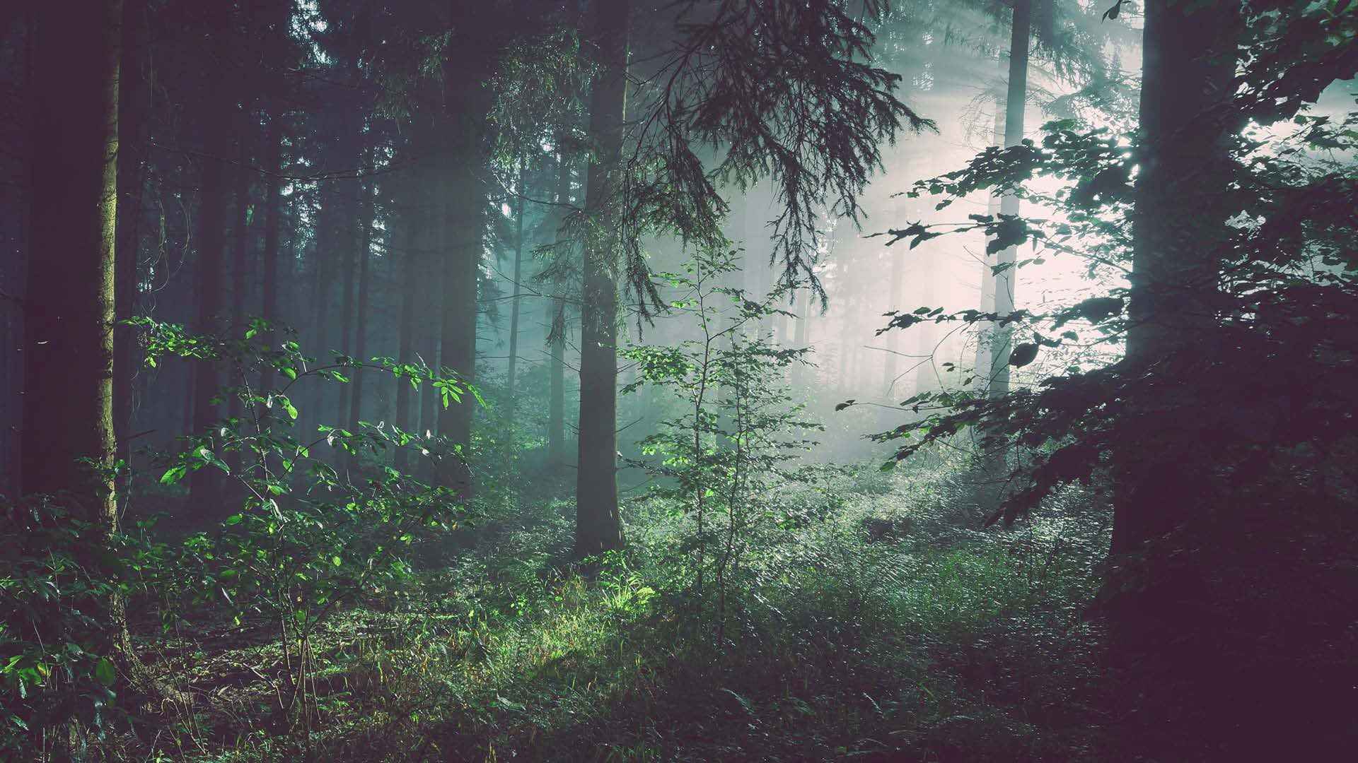 Cover image for company