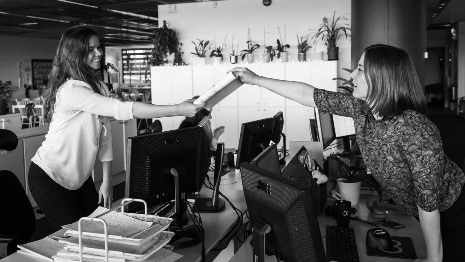 Cover image for job ad