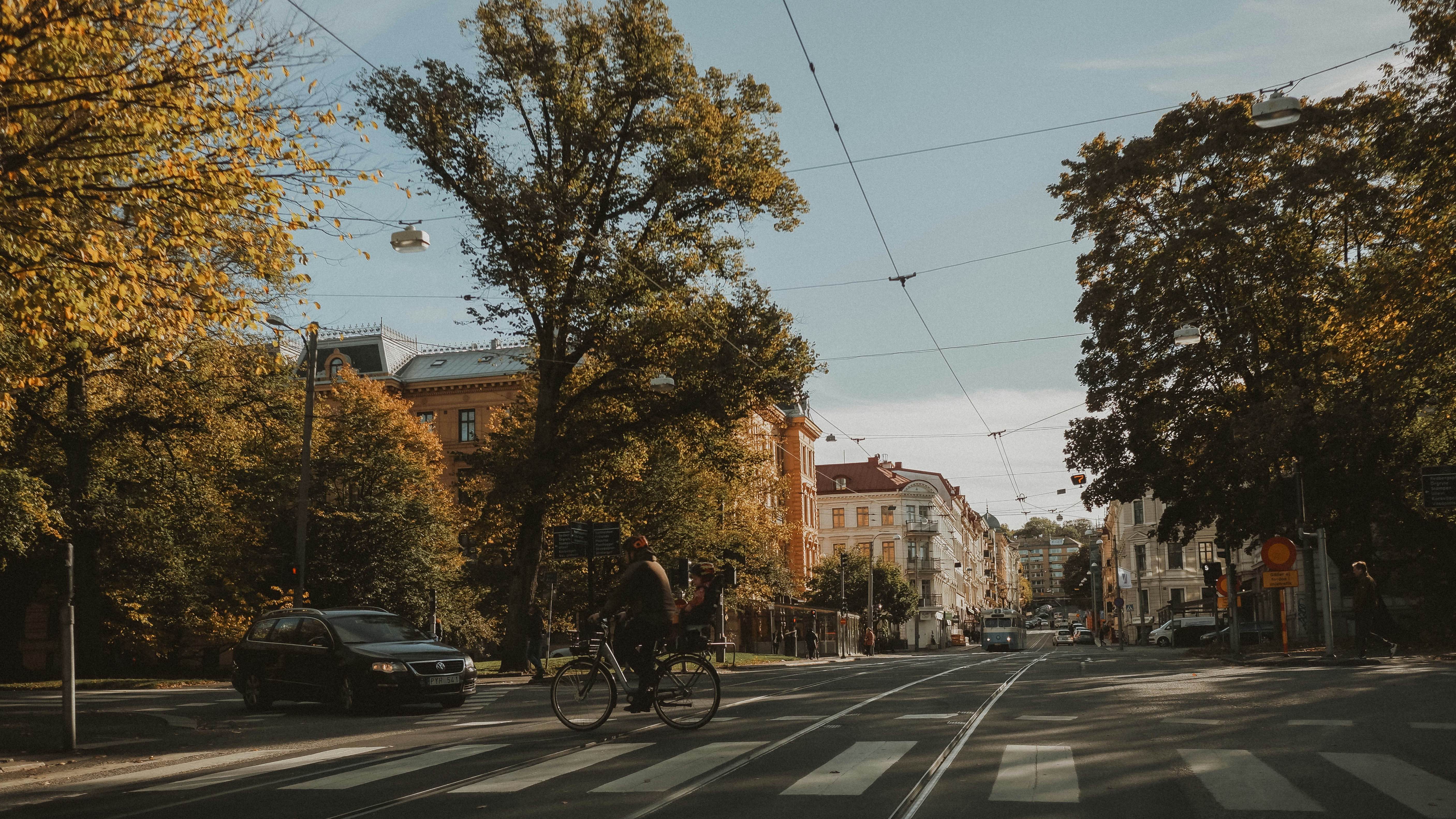 Cover image for job ad